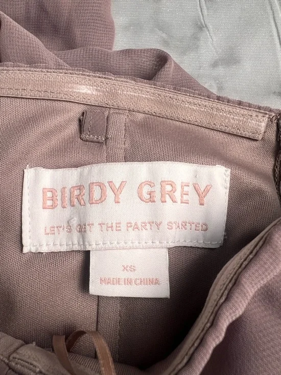 Birdy Grey Toffee NWT XS Chris Chiffon Wedding Guest Formal Dress STRAPLESS - Picture 5 of 11